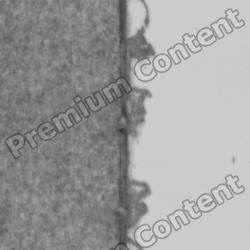 Seamless Textures of Metal + Normal & Bump Mapping